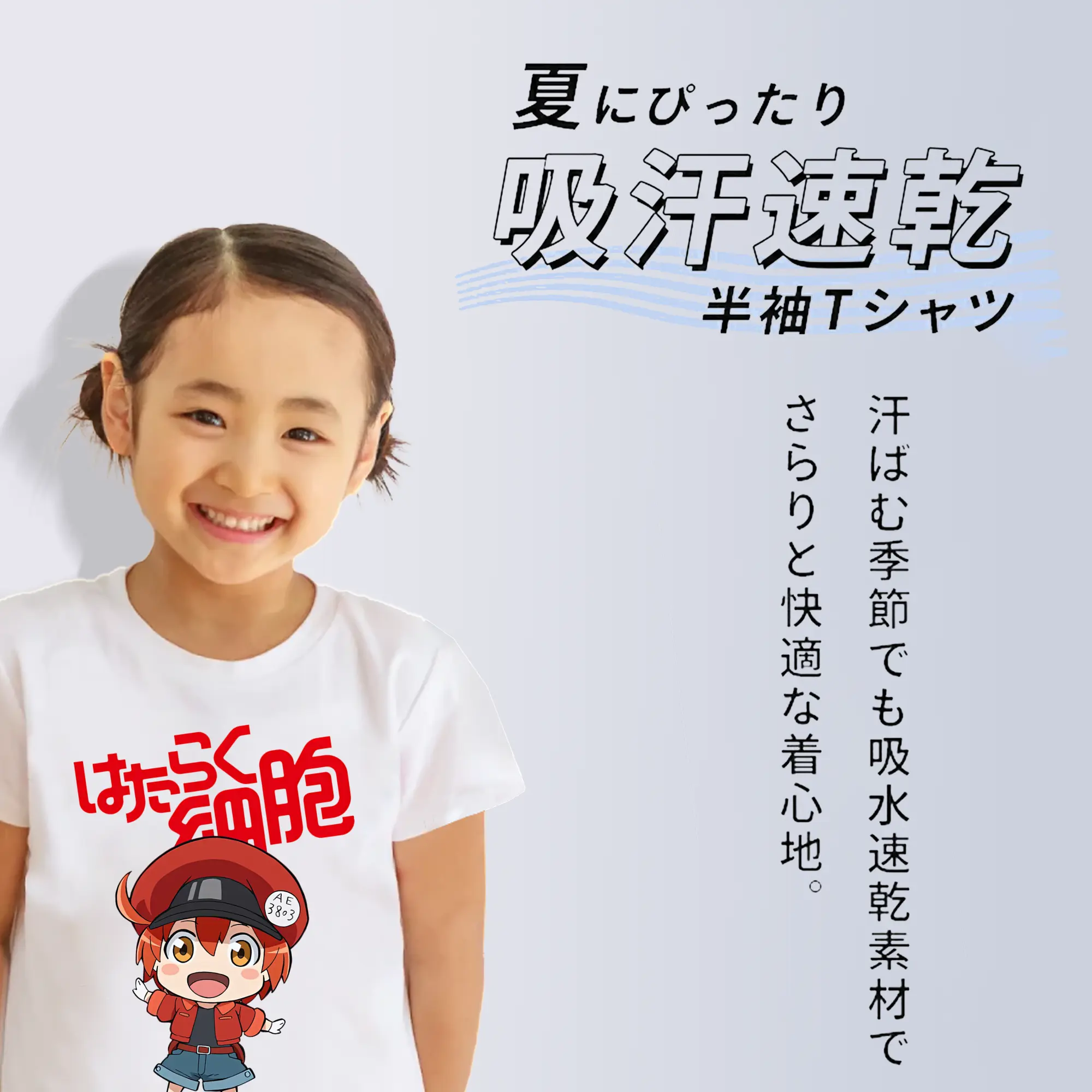 はたらく細胞 グッズ,赤血球